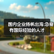 国内企业扬帆出海:急需有国际经验的人才-图4 国内企业扬帆出海:急需有国际经验的人才-图4