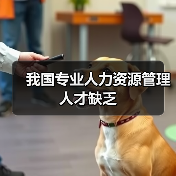 我国专业人力资源管理人才缺乏-图6 我国专业人力资源管理人才缺乏-图6