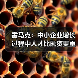 雷马克:中小企业增长过程中人才比融资更重要-图4 雷马克:中小企业增长过程中人才比融资更重要-图4