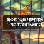 美公布”最具创新性职业” 信息工程师位居前列-图5 美公布”最具创新性职业” 信息工程师位居前列-图5