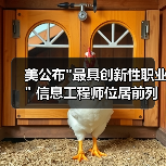 美公布”最具创新性职业” 信息工程师位居前列-图6 美公布”最具创新性职业” 信息工程师位居前列-图6