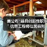 美公布”最具创新性职业” 信息工程师位居前列-图3 美公布”最具创新性职业” 信息工程师位居前列-图3