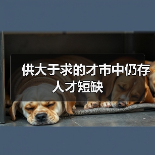 供大于求的才市中仍存人才短缺-图3