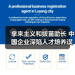 拿来主义和拔苗助长 中国企业深陷人才培养误区-图4 拿来主义和拔苗助长 中国企业深陷人才培养误区-图4