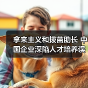 拿来主义和拔苗助长 中国企业深陷人才培养误区-图3 拿来主义和拔苗助长 中国企业深陷人才培养误区-图3