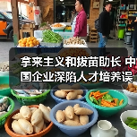 拿来主义和拔苗助长 中国企业深陷人才培养误区-图6 拿来主义和拔苗助长 中国企业深陷人才培养误区-图6