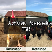 人才测评：帮HR正确选干部-图6