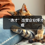 “选才”改变企业择才观-图5