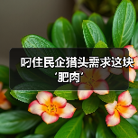 叼住民企猎头需求这块‘肥肉’-图3 叼住民企猎头需求这块‘肥肉’-图3