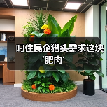 叼住民企猎头需求这块‘肥肉’-图4 叼住民企猎头需求这块‘肥肉’-图4