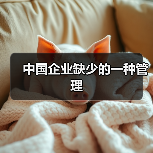 中国企业缺少的一种管理-图6 中国企业缺少的一种管理-图6
