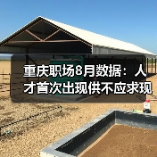重庆职场8月数据:人才首次出现供不应求现象-图3 重庆职场8月数据:人才首次出现供不应求现象-图3