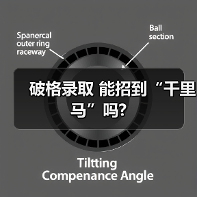 破格录取 能招到“千里马”吗?-图4
