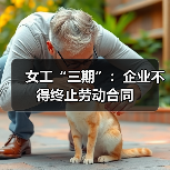 女工“三期”:企业不得终止劳动合同-图4 女工“三期”:企业不得终止劳动合同-图4