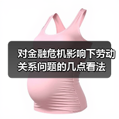 对金融危机影响下劳动关系问题的几点看法-图5 对金融危机影响下劳动关系问题的几点看法-图5