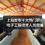 上海发布十大热门职业 电子工程技术人员居首-图3 上海发布十大热门职业 电子工程技术人员居首-图3