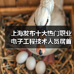 上海发布十大热门职业 电子工程技术人员居首-图6 上海发布十大热门职业 电子工程技术人员居首-图6