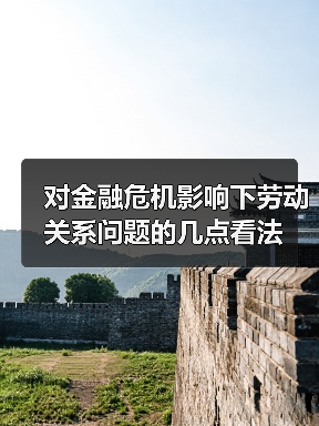 对金融危机影响下劳动关系问题的几点看法-图3 对金融危机影响下劳动关系问题的几点看法-图3