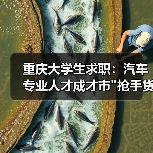 重庆大学生求职：汽车专业人才成才市”抢手货”-图5