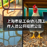 上海市总工会幼儿园工作人员公开招聘公告-图3 上海市总工会幼儿园工作人员公开招聘公告-图3