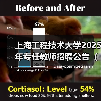 上海工程技术大学2025年专任教师招聘公告（第二批）-图5