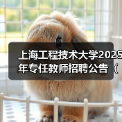 上海工程技术大学2025年专任教师招聘公告（第二批）-图3