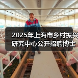 2025年上海市乡村振兴研究中心公开招聘博士研究人员公告(第二轮)-图6 2025年上海市乡村振兴研究中心公开招聘博士研究人员公告(第二轮)-图6