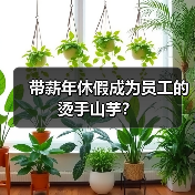 带薪年休假成为员工的烫手山芋?-图3 带薪年休假成为员工的烫手山芋?-图3