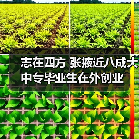 志在四方 张掖近八成大中专毕业生在外创业-图3 志在四方 张掖近八成大中专毕业生在外创业-图3
