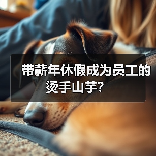 带薪年休假成为员工的烫手山芋?-图4 带薪年休假成为员工的烫手山芋?-图4
