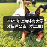 2025年上海体育大学人才招聘公告(第二批)-图4 2025年上海体育大学人才招聘公告(第二批)-图4