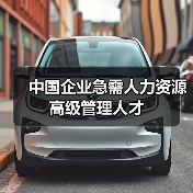 中国企业急需人力资源高级管理人才-图3 中国企业急需人力资源高级管理人才-图3