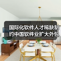 国际化软件人才稀缺制约中国软件业扩大外包-图4