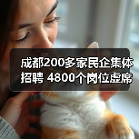 成都200多家民企集体招聘 4800个岗位虚席以待-图3 成都200多家民企集体招聘 4800个岗位虚席以待-图3