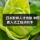日本软件人才奇缺 中国嵌入式工程师抢手-图4