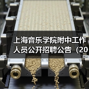 上海音乐学院附中工作人员公开招聘公告（2024）-图3