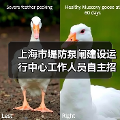 上海市堤防泵闸建设运行中心工作人员自主招聘公告-图3 上海市堤防泵闸建设运行中心工作人员自主招聘公告-图3