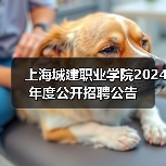 上海城建职业学院2024年度公开招聘公告-图3