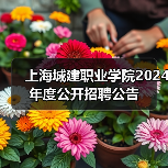 上海城建职业学院2024年度公开招聘公告-图4