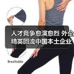 人才竞争愈演愈烈 外企精英回流中国本土企业-图6 人才竞争愈演愈烈 外企精英回流中国本土企业-图6
