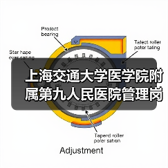 上海交通大学医学院附属第九人民医院管理岗位招聘公告-图4 上海交通大学医学院附属第九人民医院管理岗位招聘公告-图4