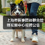 上海市医事团体联合管理发展中心招聘公告-图5