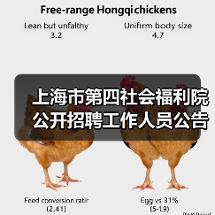 上海市第四社会福利院公开招聘工作人员公告-图4 上海市第四社会福利院公开招聘工作人员公告-图4