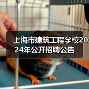 上海市建筑工程学校2024年公开招聘公告-图4 上海市建筑工程学校2024年公开招聘公告-图4