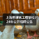 上海市建筑工程学校2024年公开招聘公告-图3 上海市建筑工程学校2024年公开招聘公告-图3