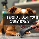 主题对话:人才 IT产业发展的驱动力-图4 主题对话:人才 IT产业发展的驱动力-图4