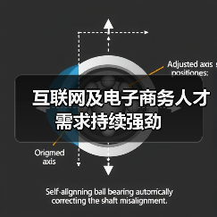 互联网及电子商务人才需求持续强劲-图4