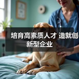 培育高素质人才 造就创新型企业-图5 培育高素质人才 造就创新型企业-图5