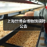 上海世博会博物馆招聘公告-图4 上海世博会博物馆招聘公告-图4