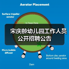 宋庆龄幼儿园工作人员公开招聘公告-图4 宋庆龄幼儿园工作人员公开招聘公告-图4